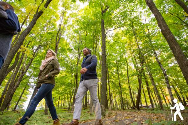 Turkey Vulture Trail Check In