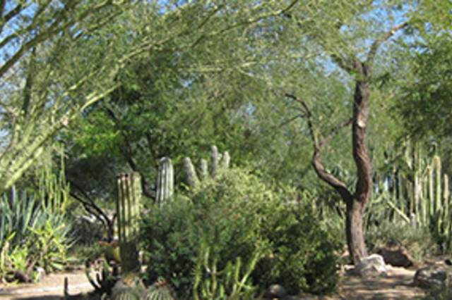 Xeriscape Demonstration Garden | Glendale, AZ 85302