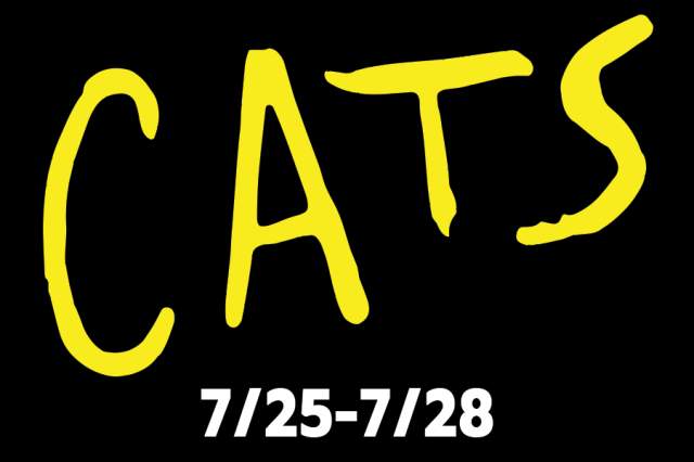 Civic Theatre: CATS