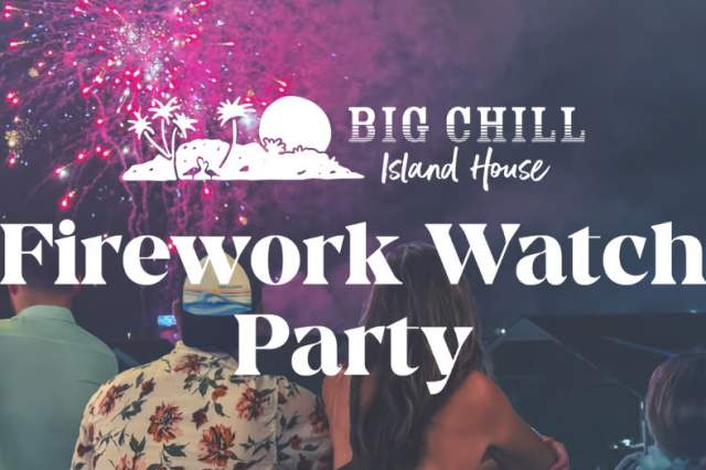 Firework Watch Party
