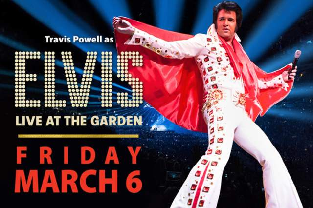 Elvis, Live at the Garden