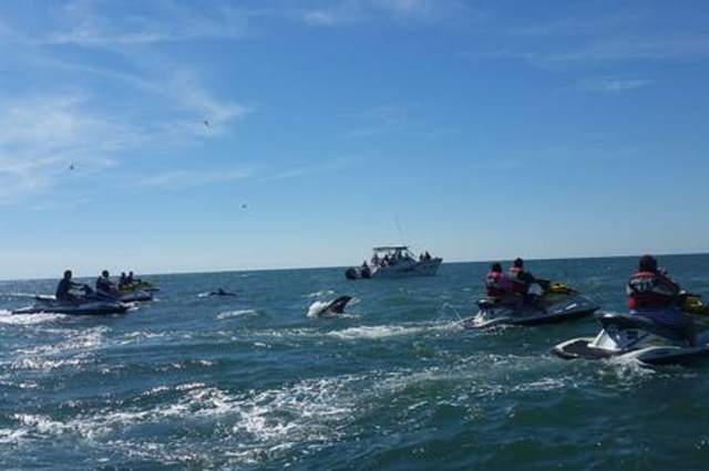 Myrtle Beach Watersports, Inc