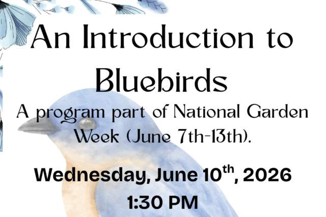 An Introduction to Bluebirds