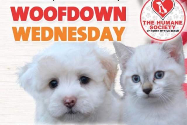 Woofdown Wednesday with The Humane Society of North Myrtle Beach