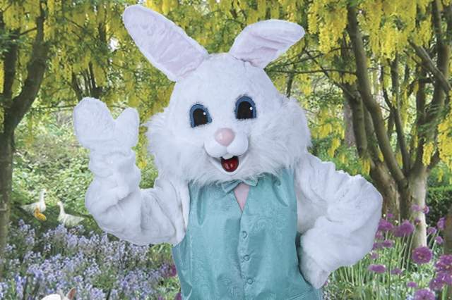 Hoppy Easter Kids Cruise