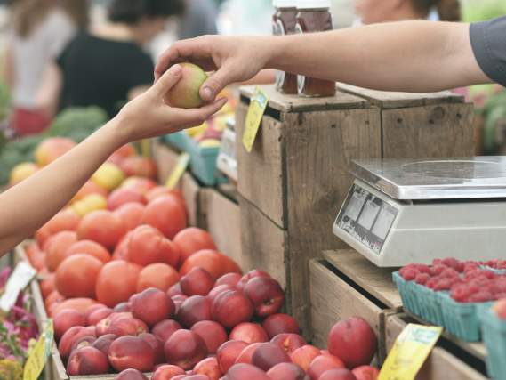 Highlands Saturday Market/Farmer's Market