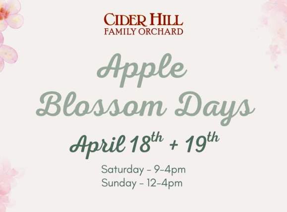 Apple Blossom Days at Cider Hill Family Orchard