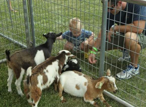Barnyard Babies Family Festival