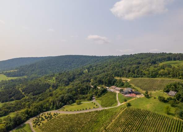 Aerial of Bluemont Vineyard's tasting room and vine rows set against the forested Blue Ridge hills in Bluemont, Virginia