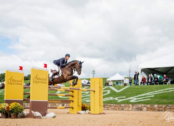 Morven Park Horse trials