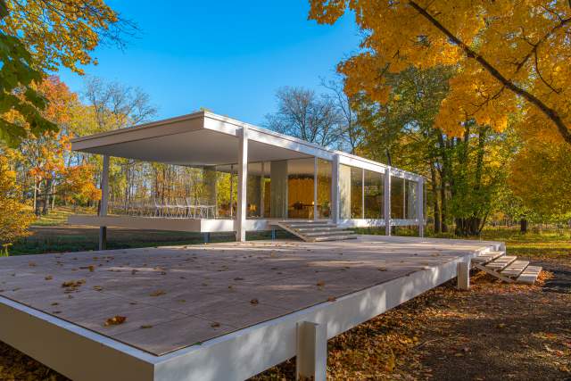 Edith Farnsworth House - Fall Leaves