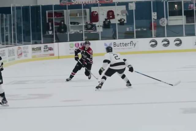 Chicago Steel Pucks and Pups