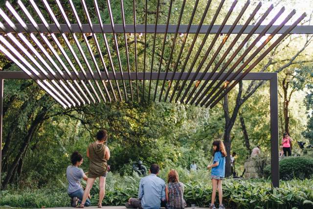 Experience Austin's Arts & Culture