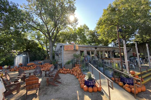 Top Things to Do in Austin This Fall