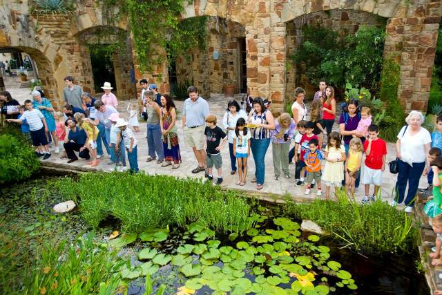 Image of a crowd of people standing around a pond with green lilly pads.
