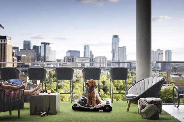 Austin's Top Pet-Friendly Hotels