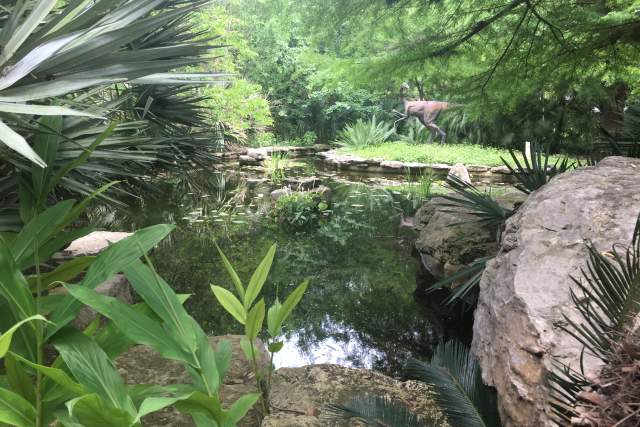 Visiting the Zilker Botanical Garden