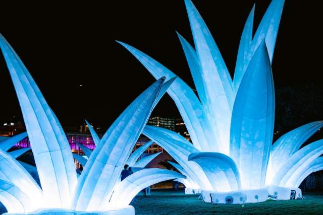 Austin's Creek Show at Waterloo Greenway