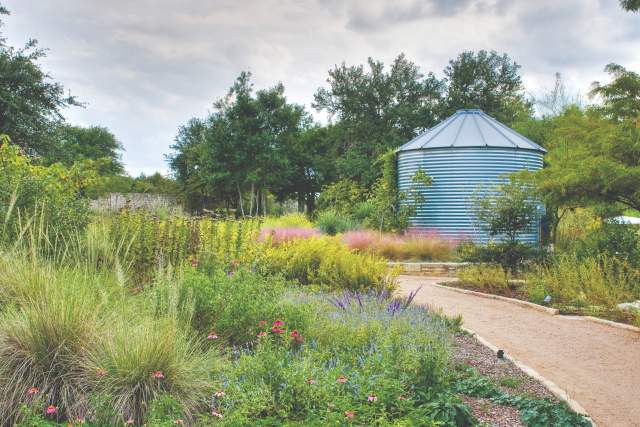 Visiting the Lady Bird Johnson Wildflower Center