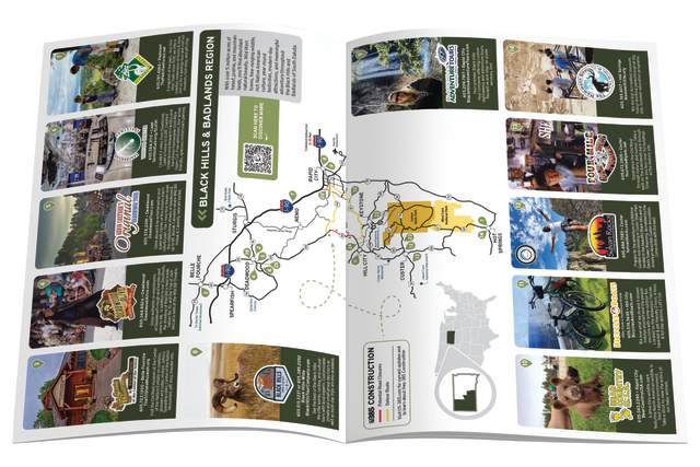 International Profile Sheet