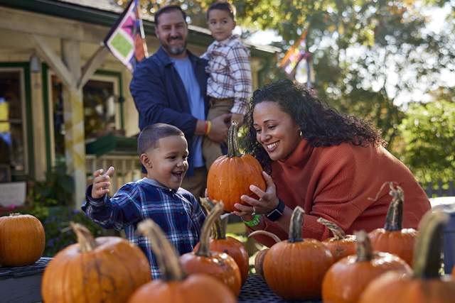 Why September is the Best Month to Visit Cape Cod