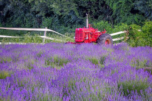 Seasonal Inspiration: Tips for Memorable Experiences All Year Round