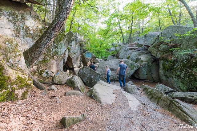 You Won't Believe These Hikes Exist in Central Mass.