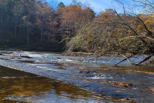 The sun reflects off the lake at Lost Lake Loop at Cahaba River Park.