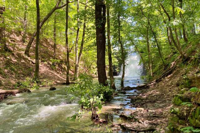 Park River Creek Fall