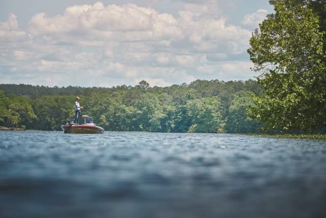 A lone man fishes from a bass boat at Lay Lake. It is a sunny day and the leaves on the trees are green and lush.