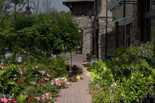 Mt Laurel birmingham