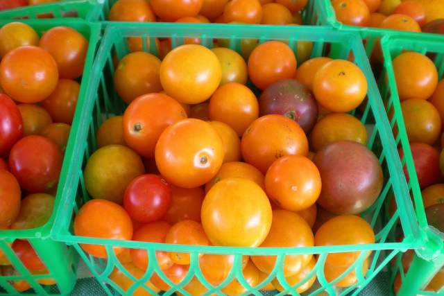 Green Market Tomatoes