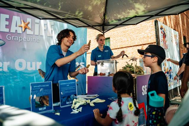 MSF KidZone New