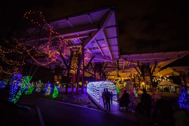 Christmas at the Zoo