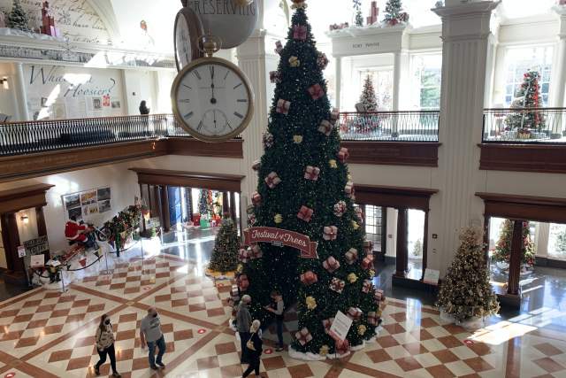 Festival of Trees