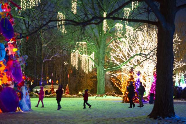 Winterlights