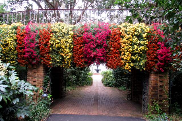 Mums hanging over the side of a bridge over a walkway