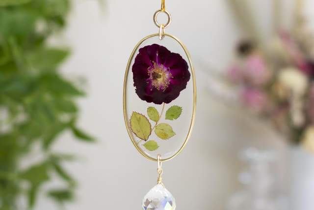 a dreamcatcher with a golden frame and a pressed flower in the middle and a shiny crystal dangling from the bottom hangs in front of flowers and plants on a white background