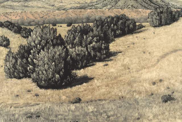 A painting of a scenic landscape featuring a scrub-covered field leading to a mesa. The mesa is a prominent flat-topped hill in the background, under an expansive sky.