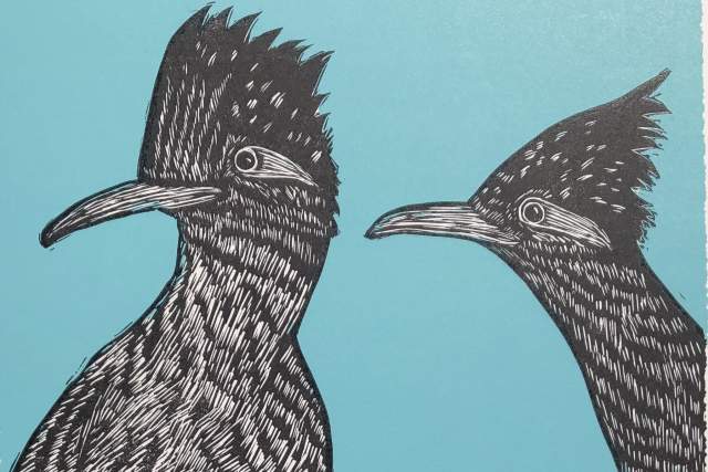 Artistic illustration of two black and white stylized roadrunners facing each other on a turquoise background. The birds have textured feathers and pronounced beaks.