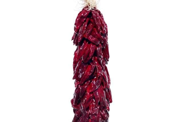 A string of dried red chili peppers hanging against a white background.