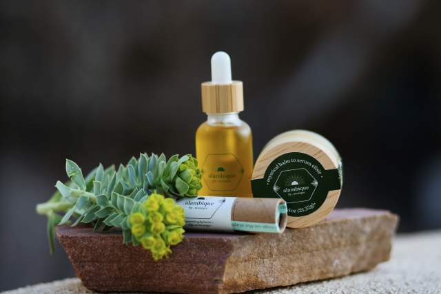 A bottle and a jar of Alambiqué skincare products on a stone slab, accompanied by a small succulent plant.