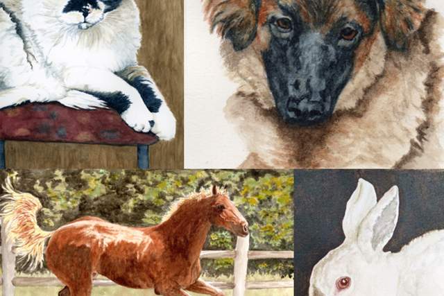 lifelike painted portraits of a cat, dog, horse and a bunny