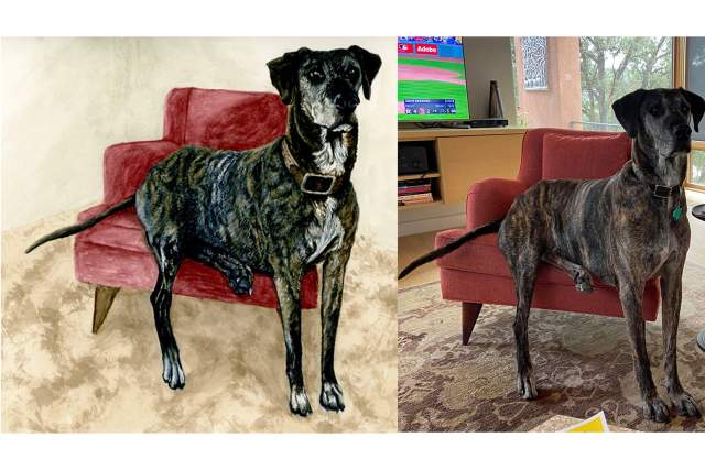 Two images side by side featuring the same dog sitting on a red couch. The left image is a colorful drawing, and the right is a photograph, with a television in the background.