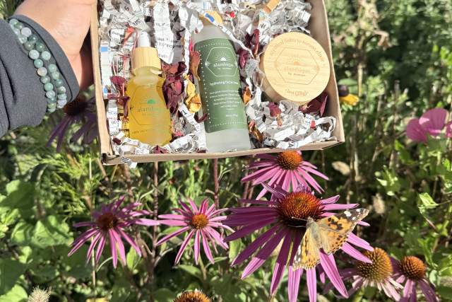 A person holding an open box containing eco-friendly skincare products, with a vibrant background of purple coneflowers and a butterfly.