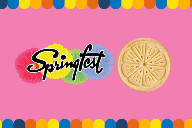 springfest girl scout