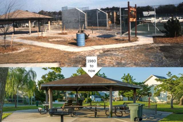 gorman park