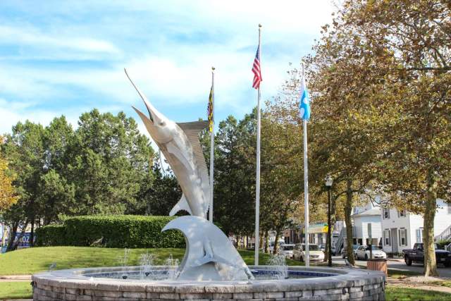 White Marlin