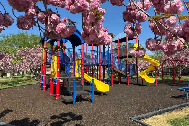 Gorman Park