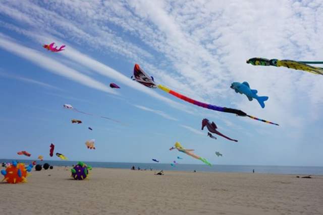 kite fest